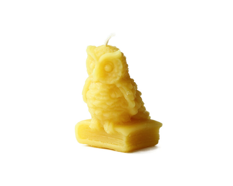 Beeswax candle-owl on the book